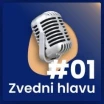 Podcast Zvedni hlavu: Sdílíme své děti. Ale měly by o tom vědět i ony?